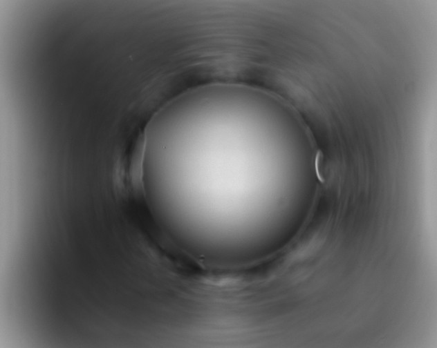 X0000092091202200709262116