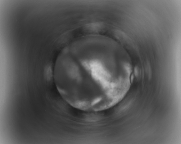 X0000092091203200709262116