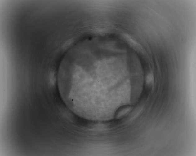 X0000092091204200709262117