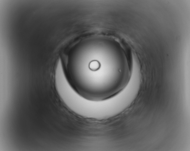 X0000092091206200709262117