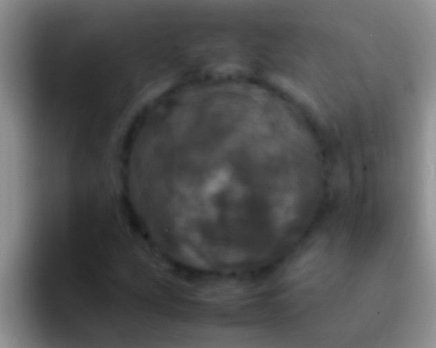 X0000092091207200709262117