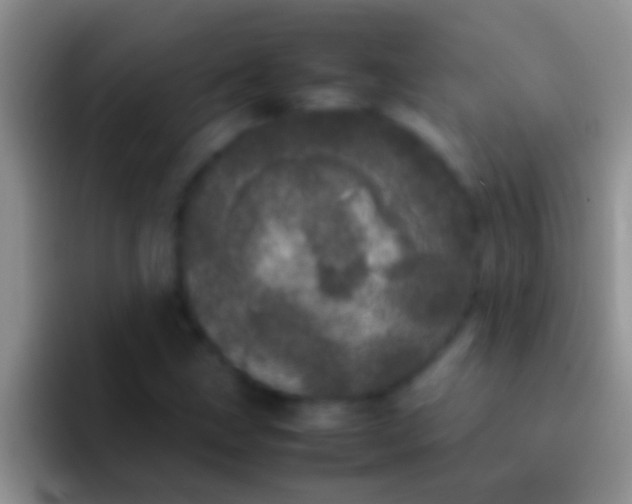 X0000092091211200709262117