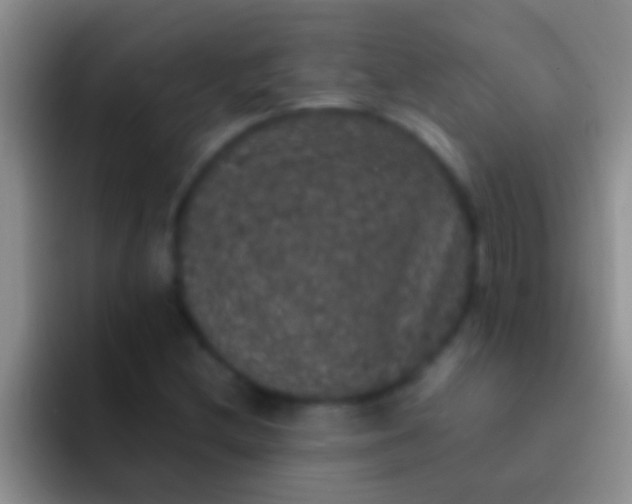 X0000092091212200709262117