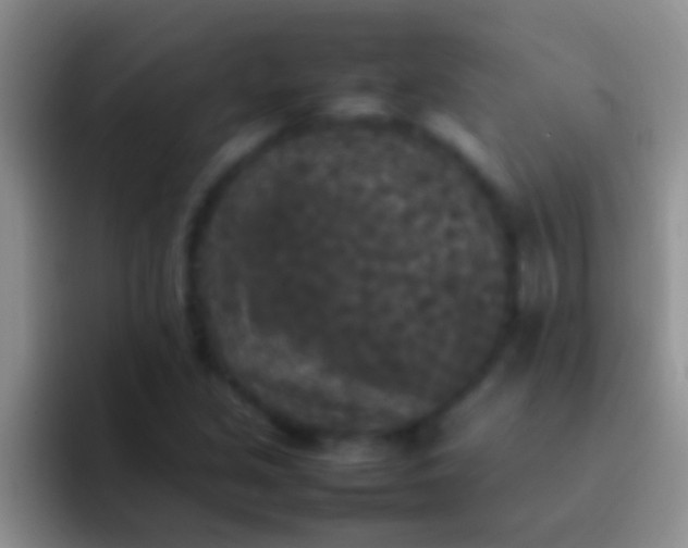 X0000092091213200709262117