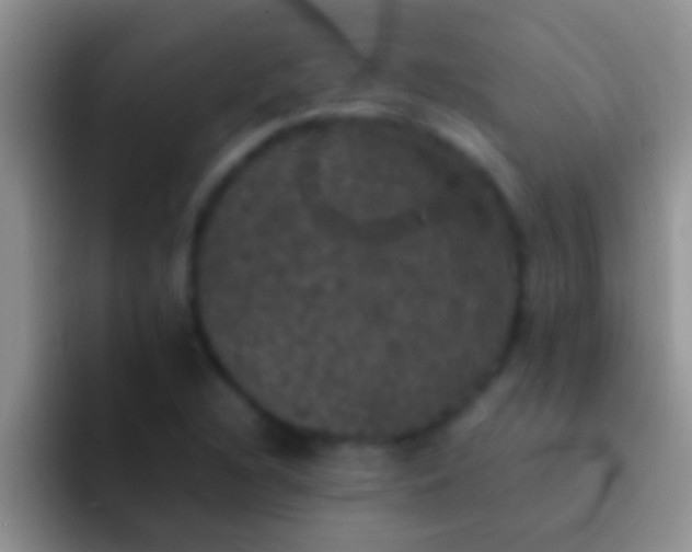 X0000092091216200709262117