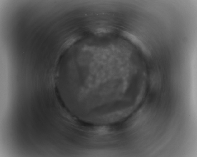 X0000092091217200709262117