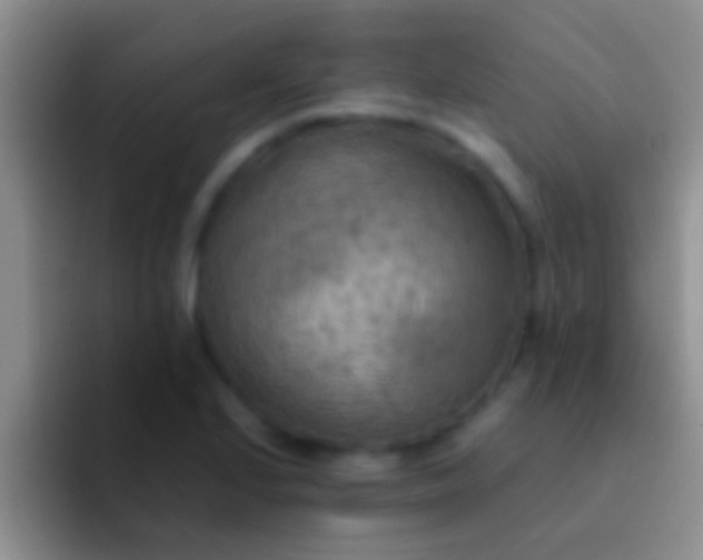 X0000092091224200709262117