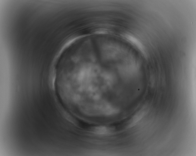 X0000092091227200709262117
