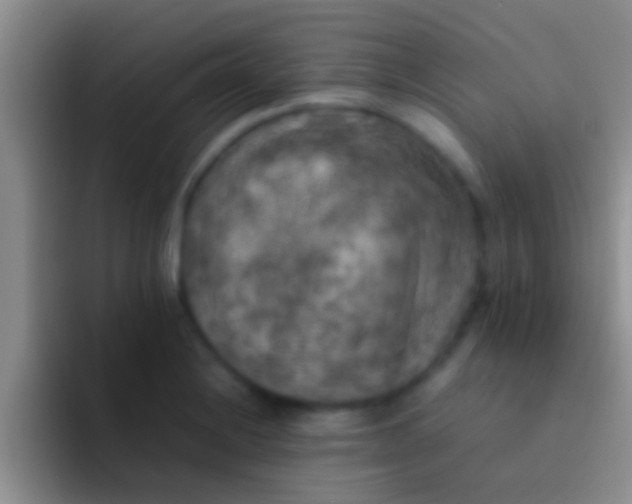 X0000092091228200709262117