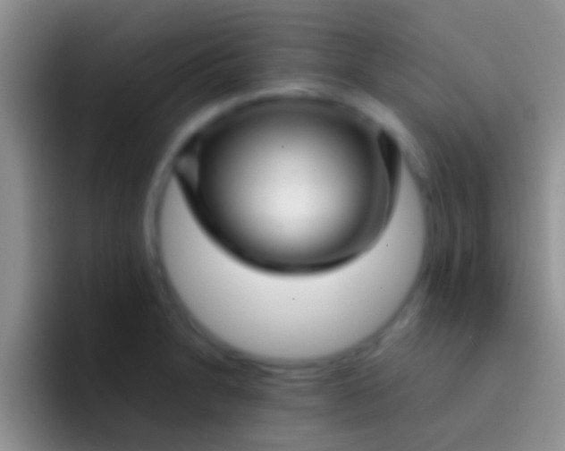 X0000092091230200709262117
