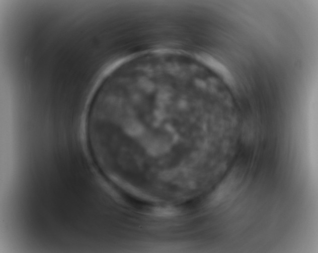 X0000092091231200709262117