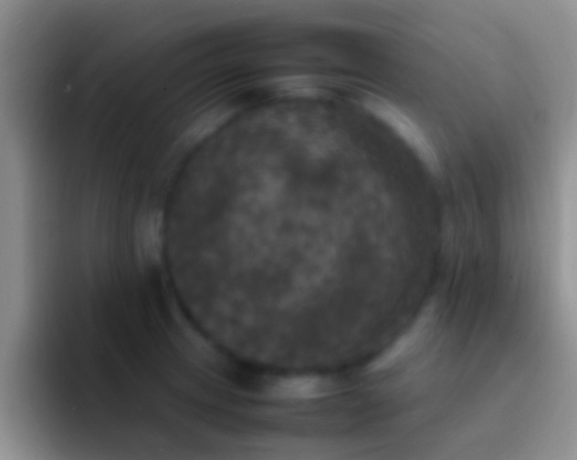 X0000092091233200709262117