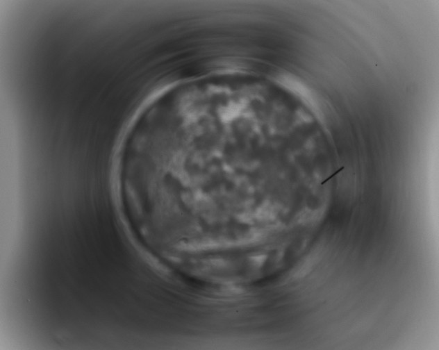 X0000092091235200709262117