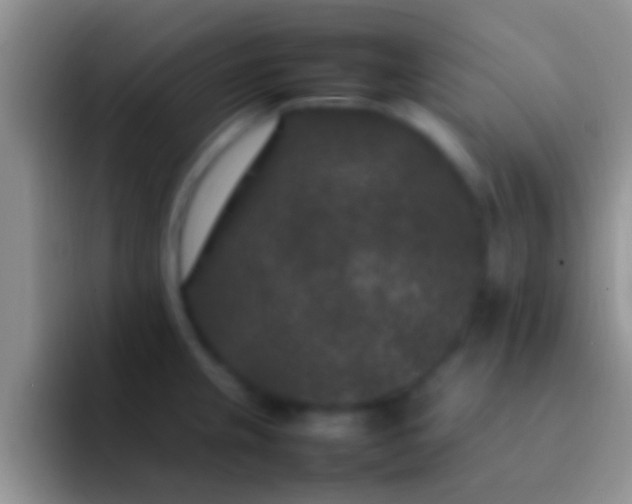 X0000092091237200709262117