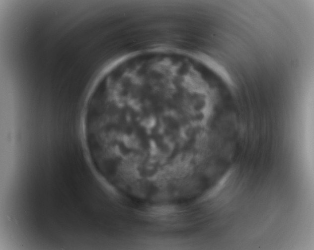 X0000092091239200709262117