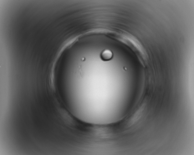 X0000092091242200709262117