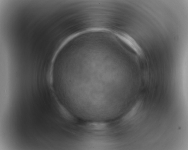 X0000092091244200709262117