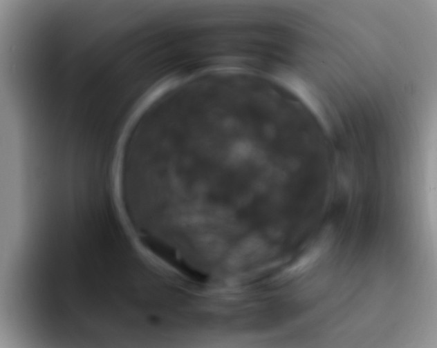 X0000092091245200709262117