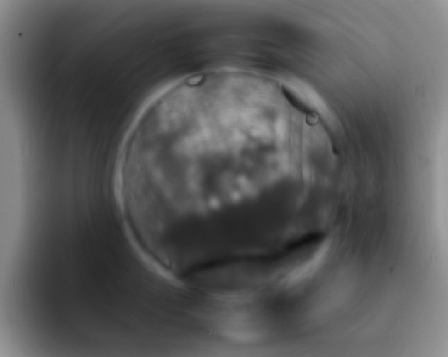 X0000092091247200709262117