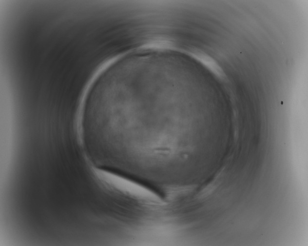 X0000092091248200709262117