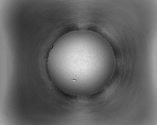X0000092091249200709262116