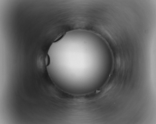 X0000092091250200709262116
