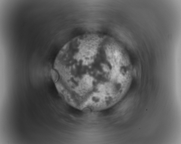 X0000092091251200709262116