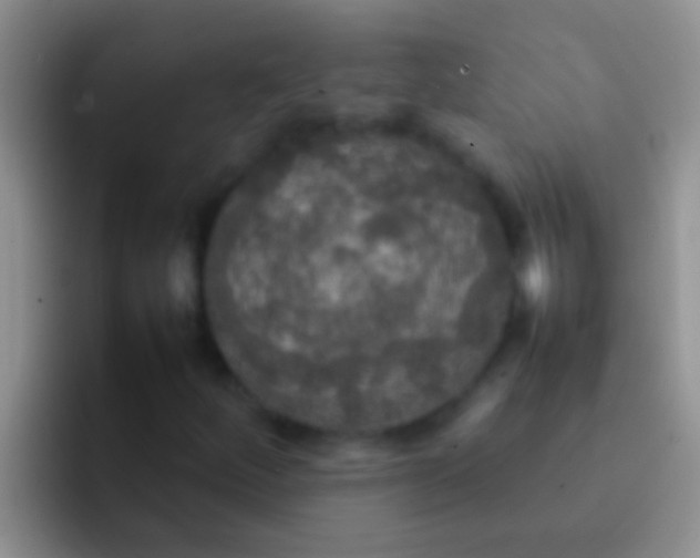 X0000092091252200709262116