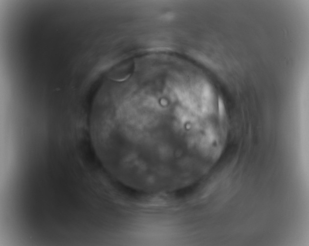 X0000092091255200709262116