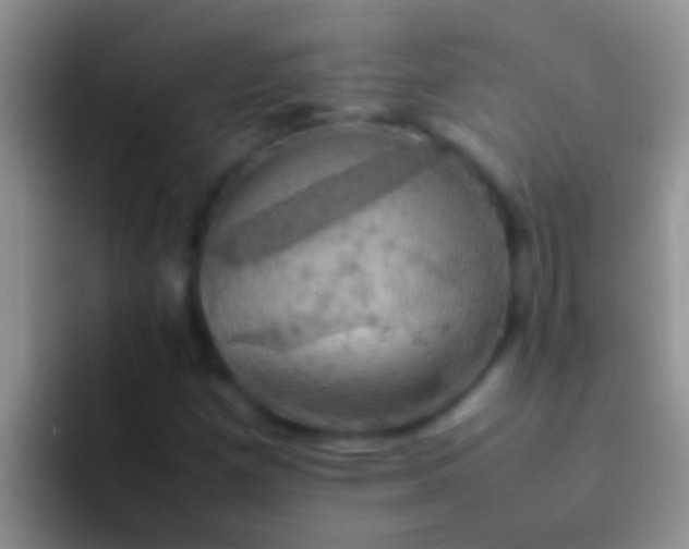 X0000092091257200709262116