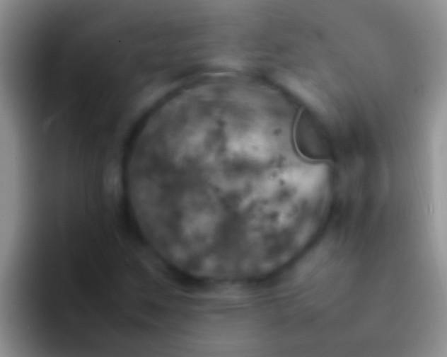 X0000092091259200709262116