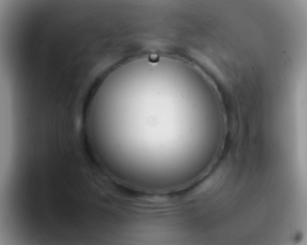 X0000092091261200709262116