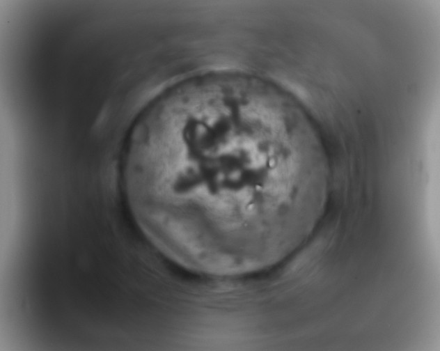X0000092091263200709262116