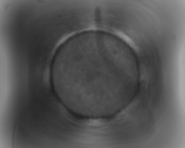 X0000092091264200709262116