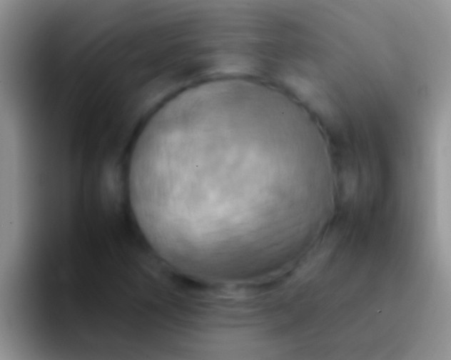 X0000092091266200709262116