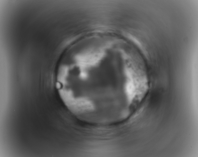 X0000092091267200709262116