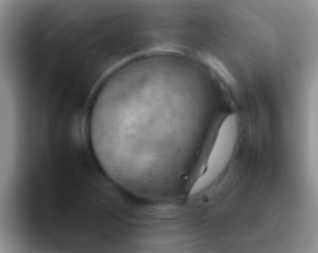 X0000092091268200709262116