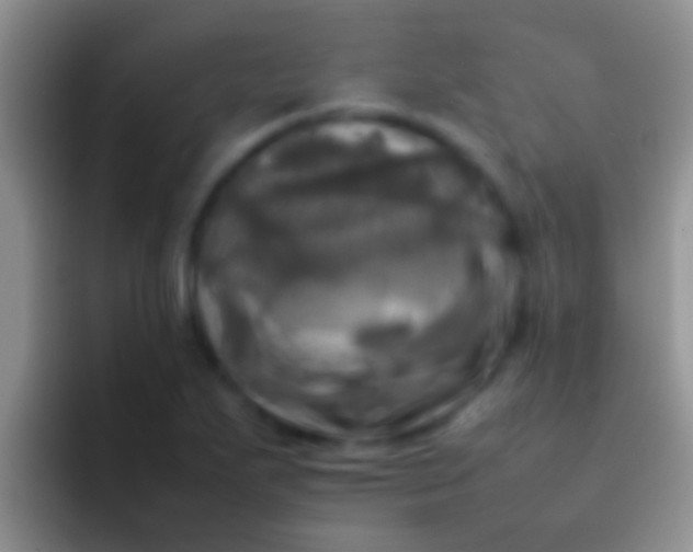 X0000092091271200709262116