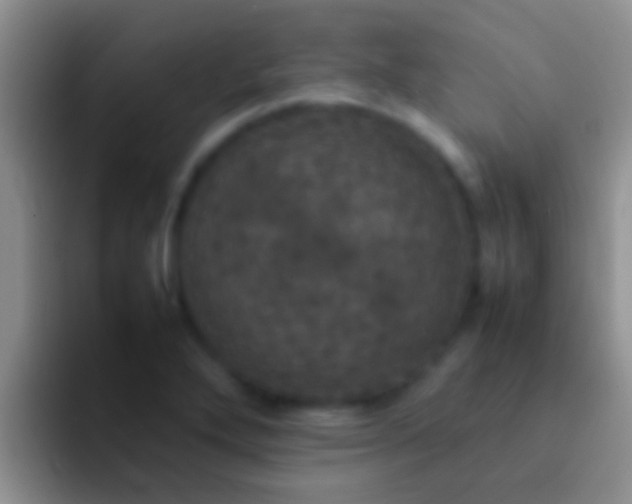 X0000092091272200709262116