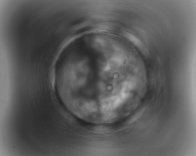 X0000092091275200709262116
