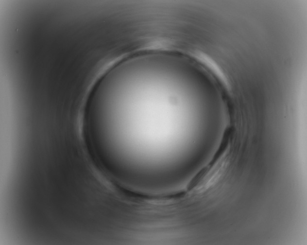 X0000092091277200709262116