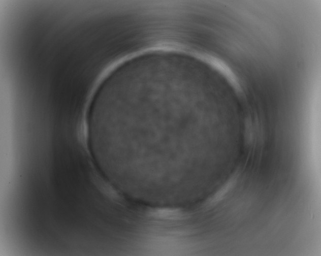X0000092091280200709262116