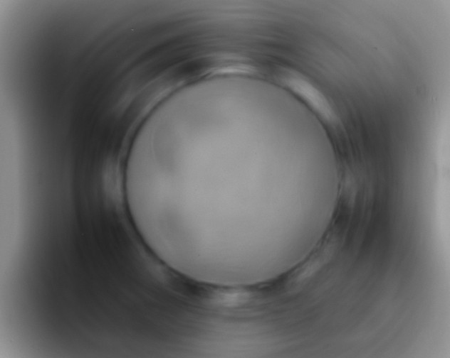 X0000092091282200709262116