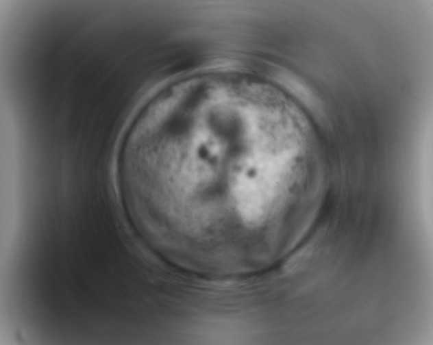 X0000092091283200709262116
