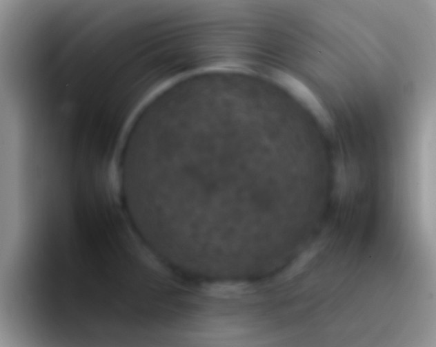 X0000092091284200709262116