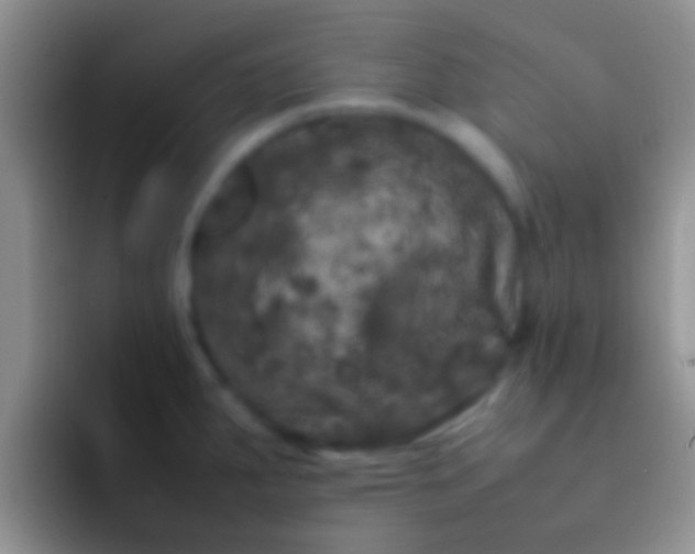 X0000092091287200709262116