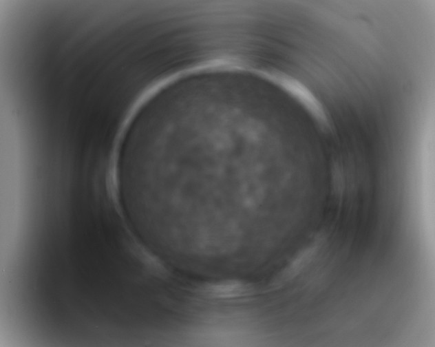 X0000092091288200709262116