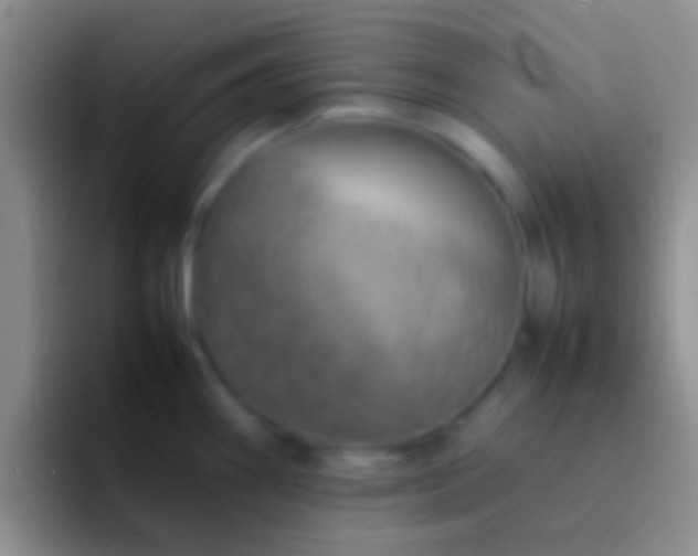 X0000092091290200709262116