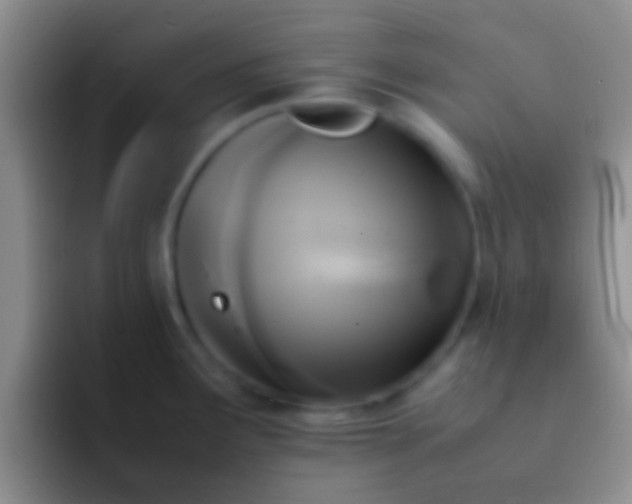 X0000092091291200709262116