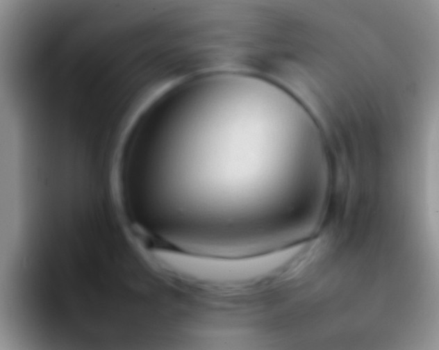 X0000092091293200709262116